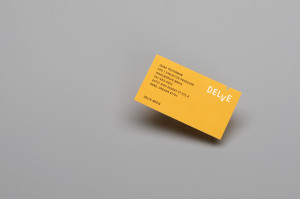 delve film production business card